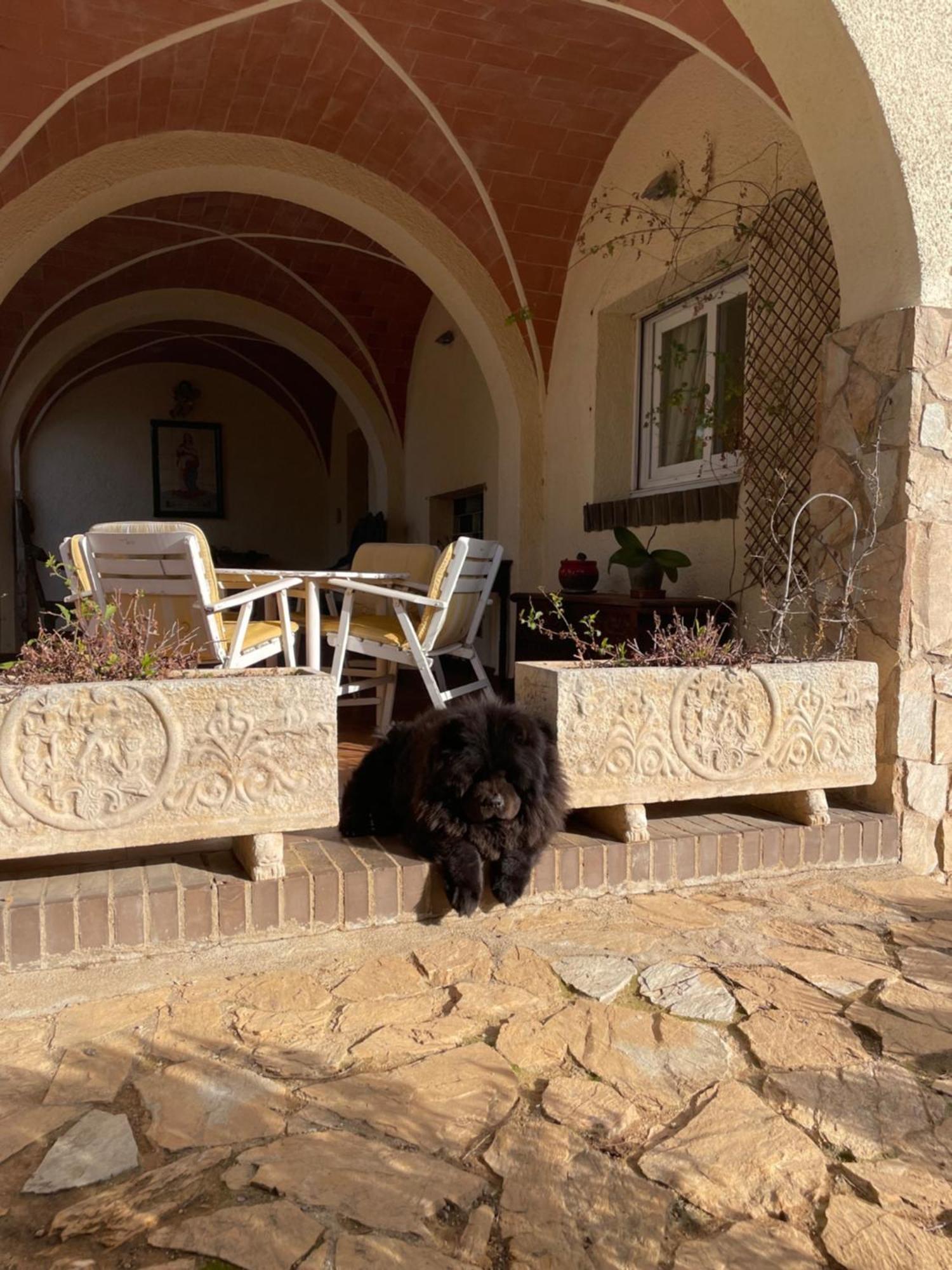 Campo La Carena Villa Garriguella Exteriör bild